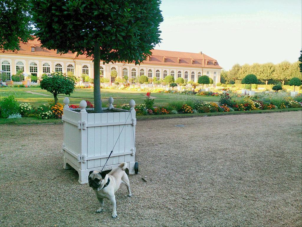 Der Platengarten Ansbach Exterior foto